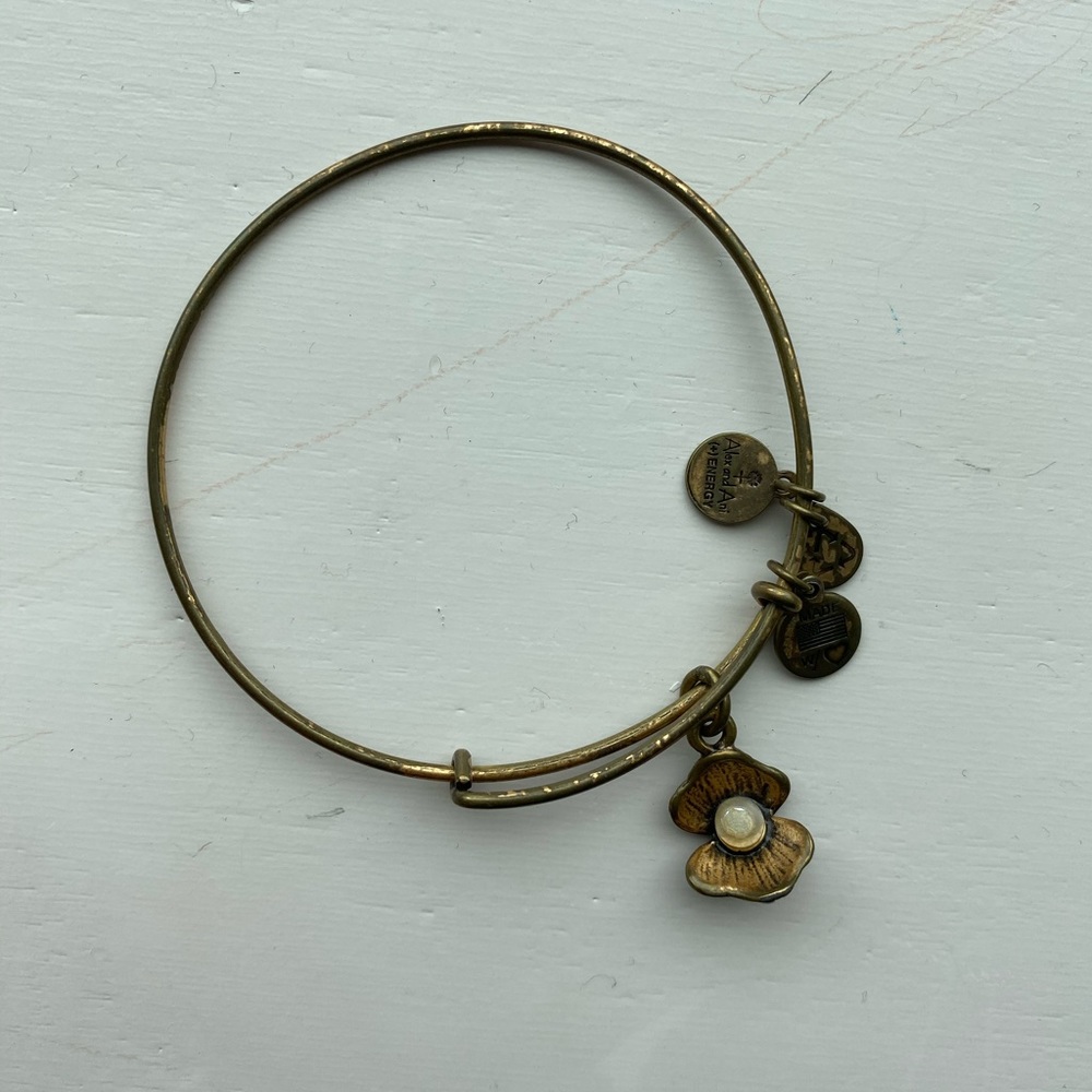 5 Alex and Ani bracelets